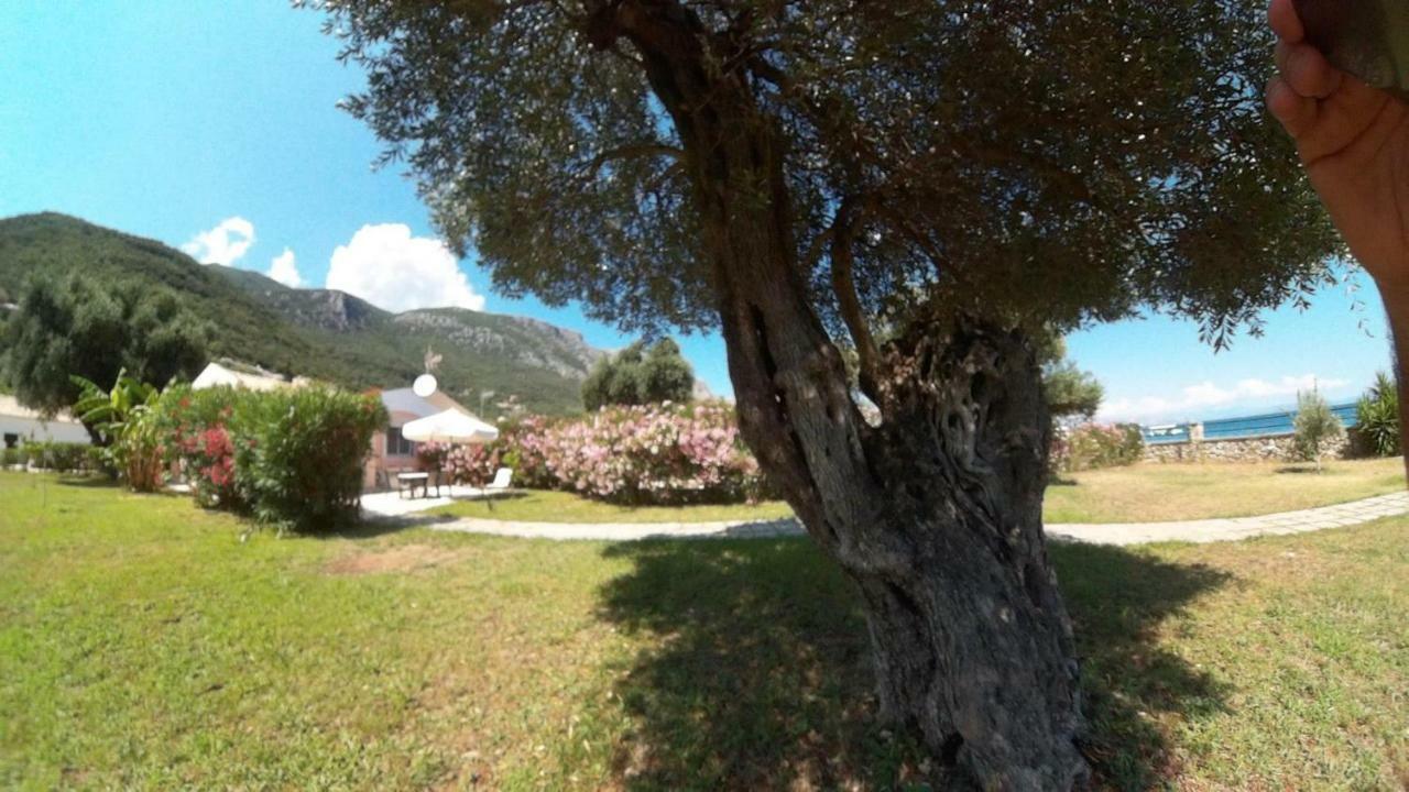 Barbati Beach Holiday Apartment, Corfu,Greece Dış mekan fotoğraf